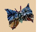 Butterfly - Instep P7 Study Group